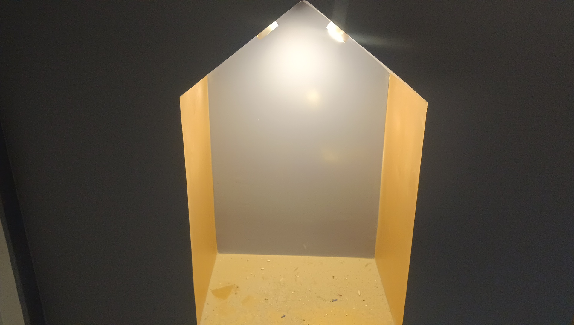 Painting& house wiring